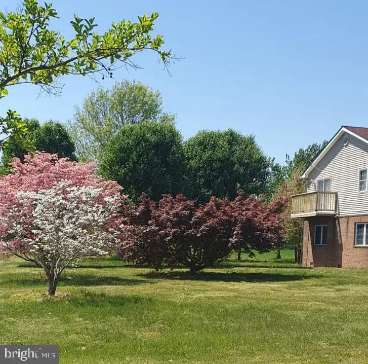 5640 Thompsontown Rd, East New Market, MD 21631 - #2