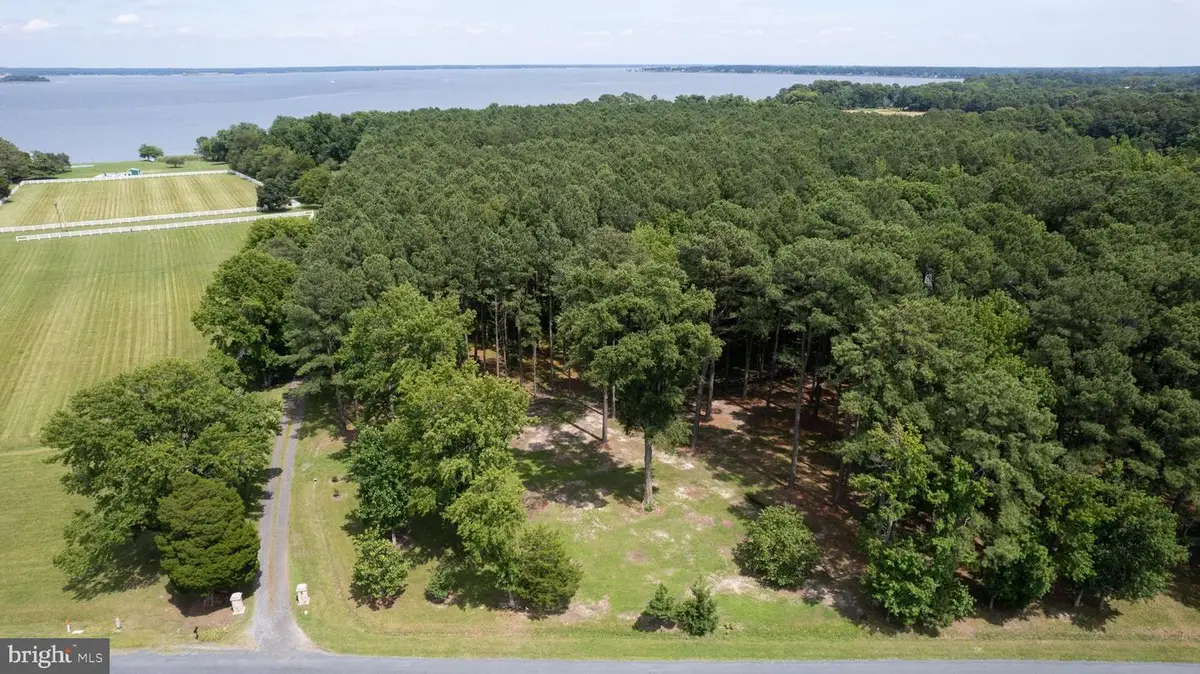 Horns Point Rd, Cambridge, MD 21613 - #1