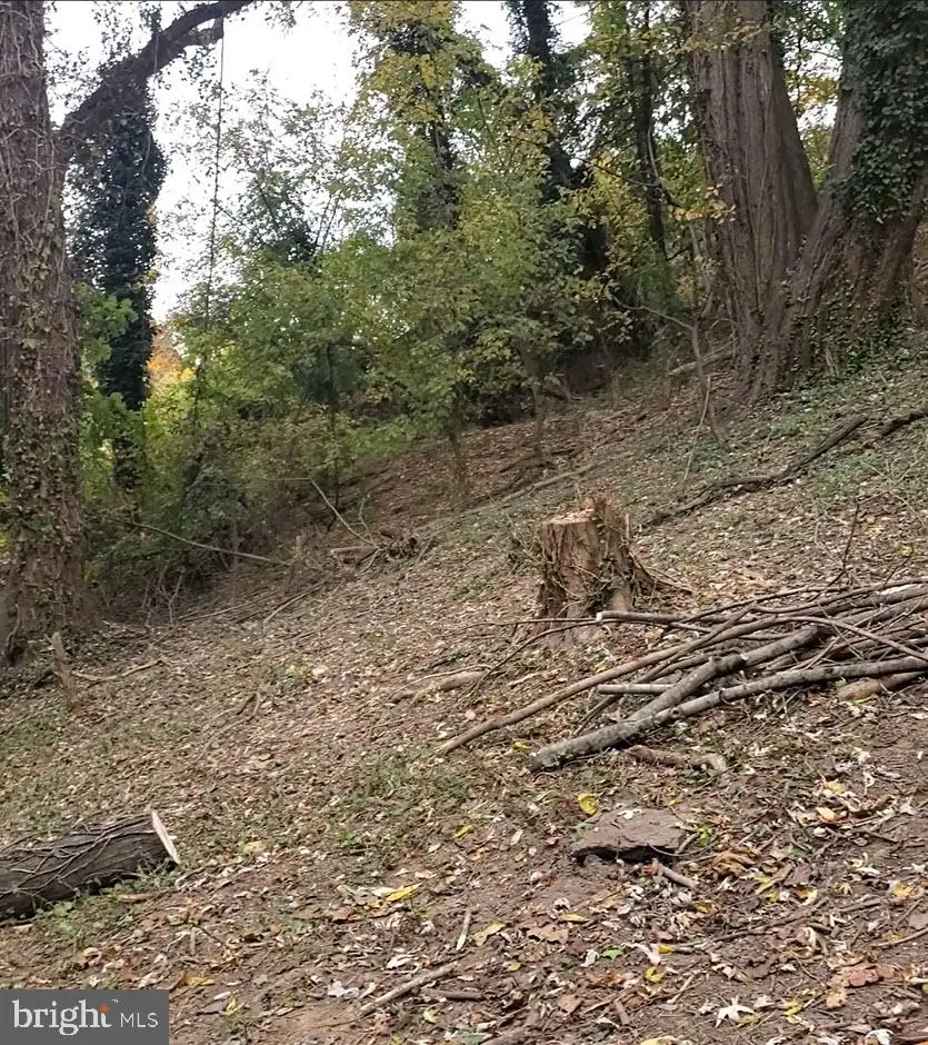 E D St, Brunswick, MD 21716 - #2