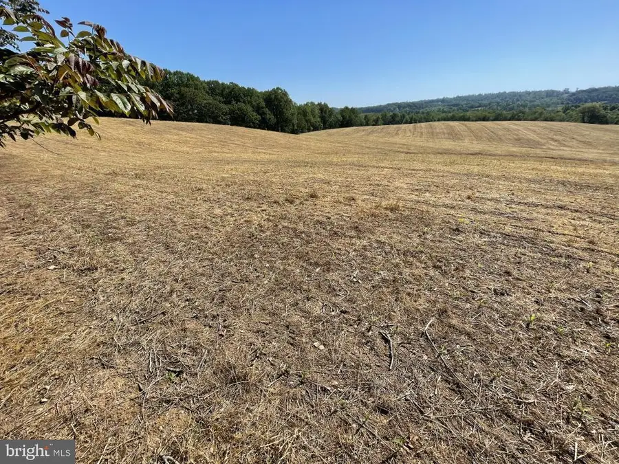 11420 Green Valley Rd, Union Bridge, MD 21791 - Image #2