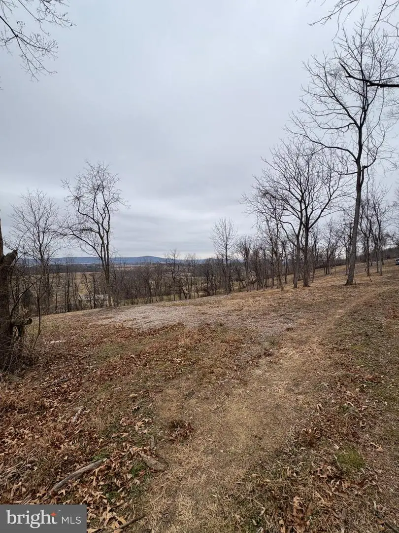 4422 Teen Barnes Rd, Jefferson, MD 21755 - Image #3