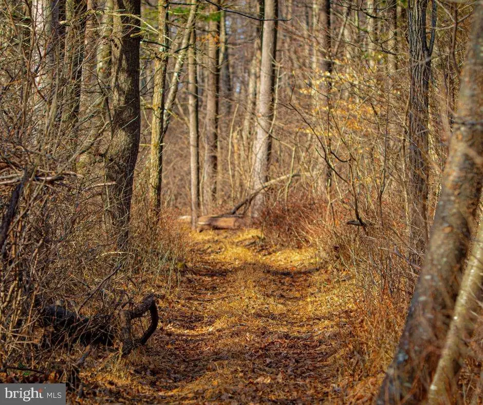 Quirauk School Rd, Sabillasville, MD 21780 - Image #1