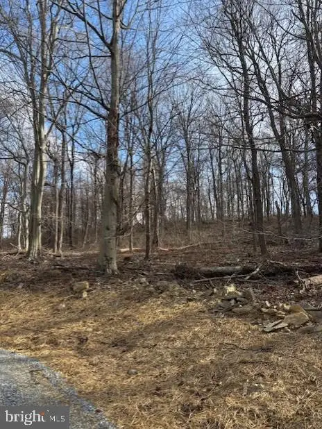 16015 Foxville Deerfield Rd, Sabillasville, MD 21780 - #3