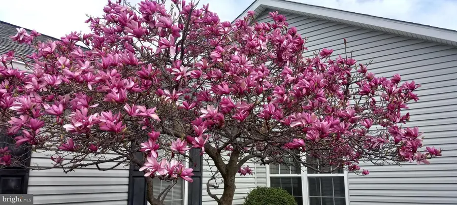 10244 Royal Saint Andrews Pl, Ijamsville, MD 21754 - Image #3