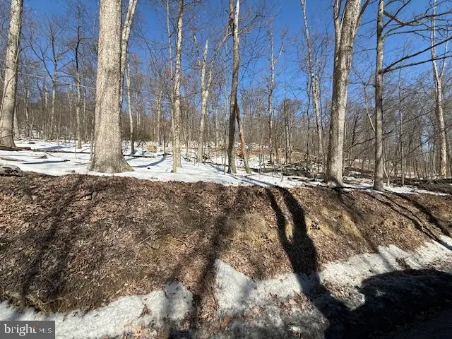 Boonsboro Mt. Rd, Myersville, MD 21773 - #3