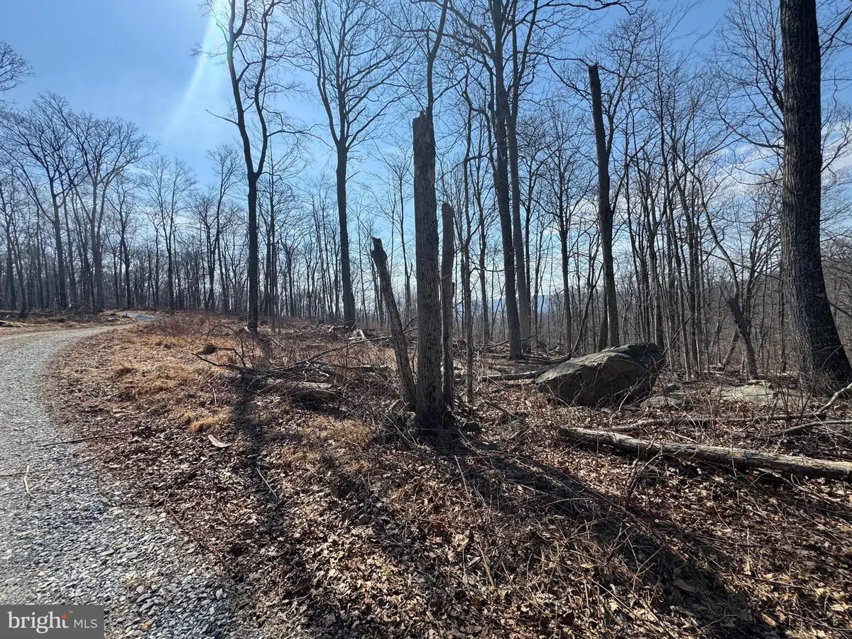 Middle Point Rd, Myersville, MD 21773 - #1
