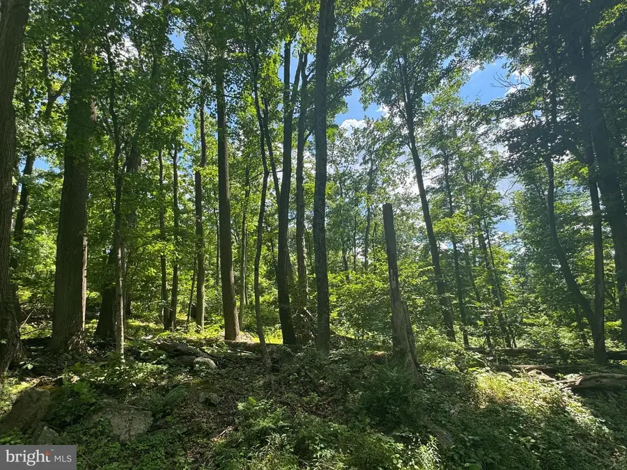 Middle Point Rd, Myersville, MD 21773 - #3