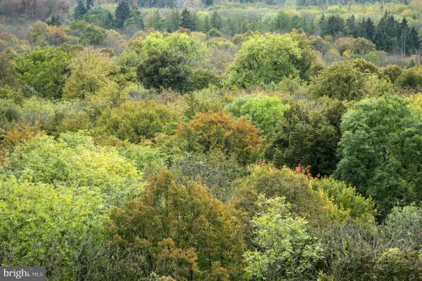 Brown Rd, SMITHSBURG, MD 21783