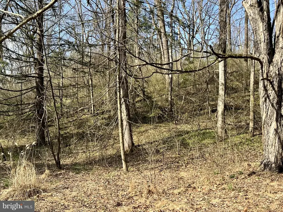 17310 Sunshine Trl, Sabillasville, MD 21780 - #3