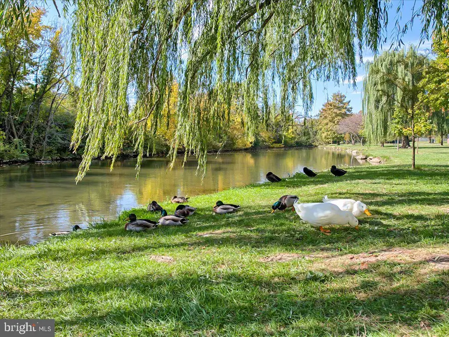 301 W 7th St, Frederick, MD 21701 - #2