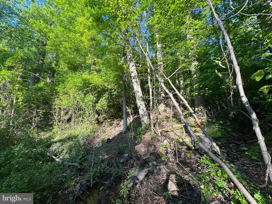 Edgemont Rd, Frederick, MD 21702 - #3