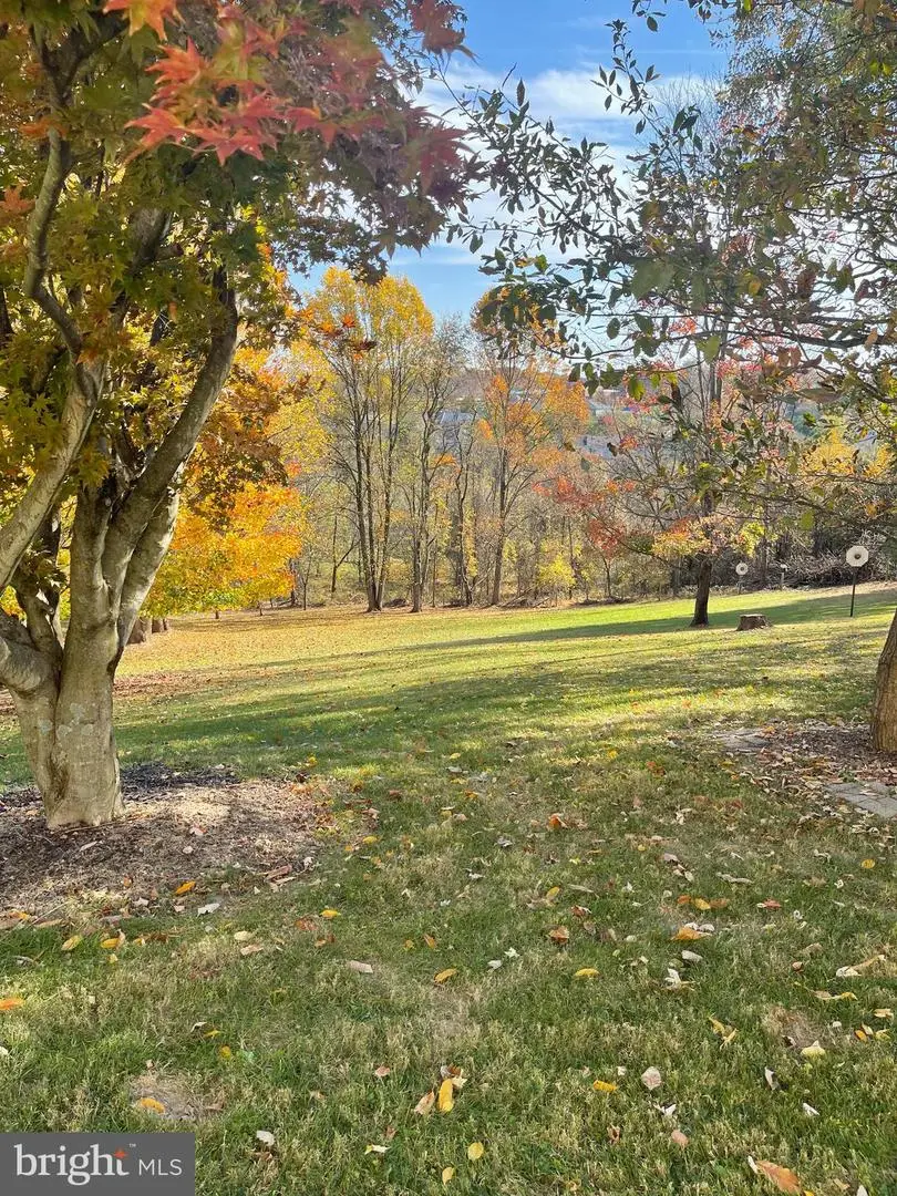 6336 Boyers Mill Rd, New Market, MD 21774 - #3