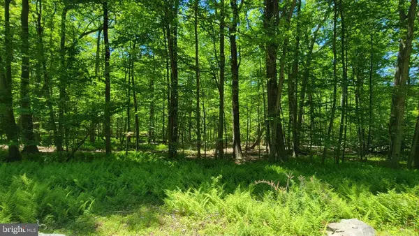 Mink Farm Rd, THURMONT, MD 21788