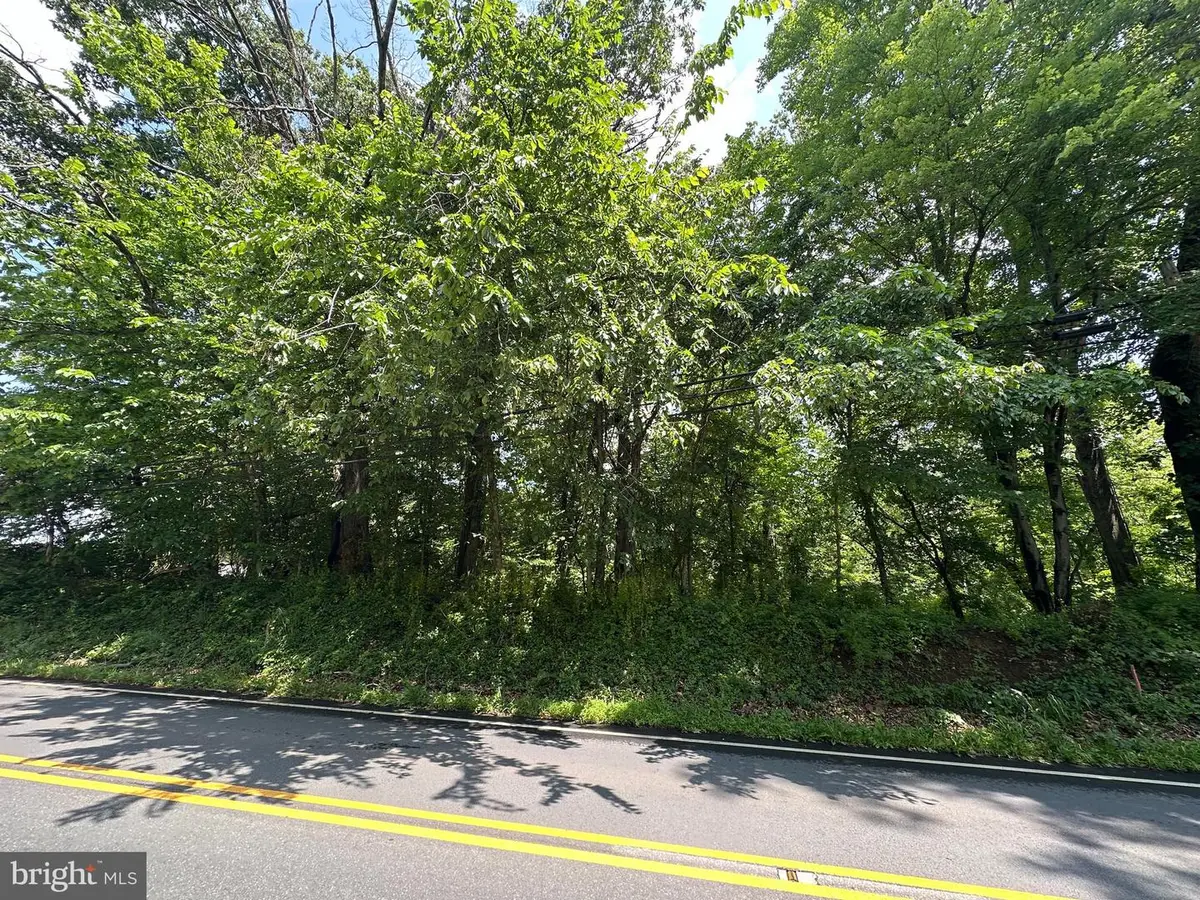 Tract 1: .15+/- Acres Lot 107 W Potomac St, Brunswick, MD 21716 - #1
