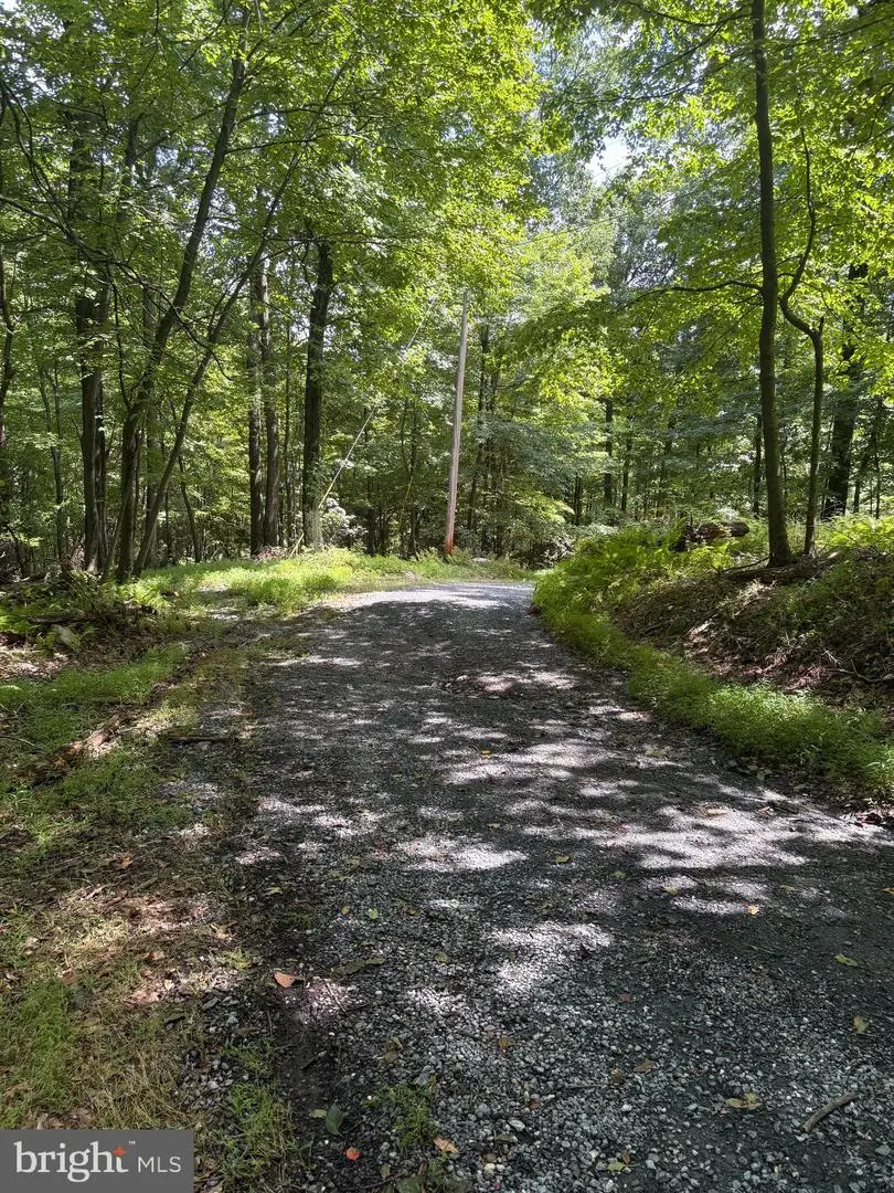 Little Rock Road, Frederick, MD 21701 - #1