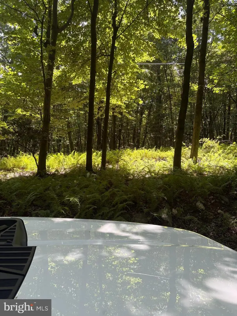 Little Rock Road, Frederick, MD 21701 - #3