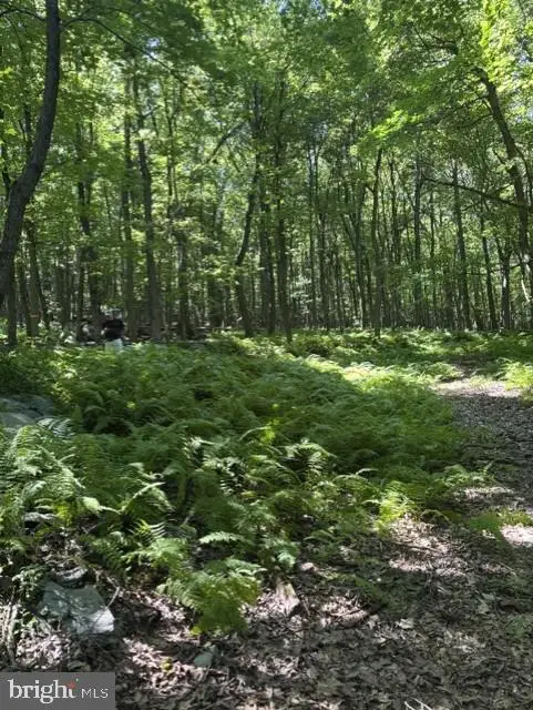 7275 Black Rd, Thurmont, MD 21788 - #2