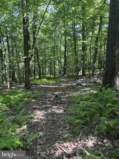7275 Black Rd, Thurmont, MD 21788 - #3