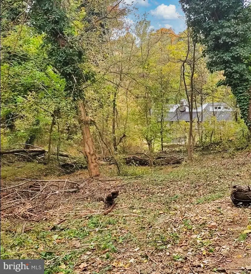 East D St, Brunswick, MD 21716 - #1