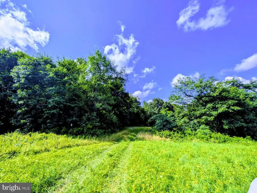 Parcel 65 - A Park Mills, Adamstown, MD 21710 - #2
