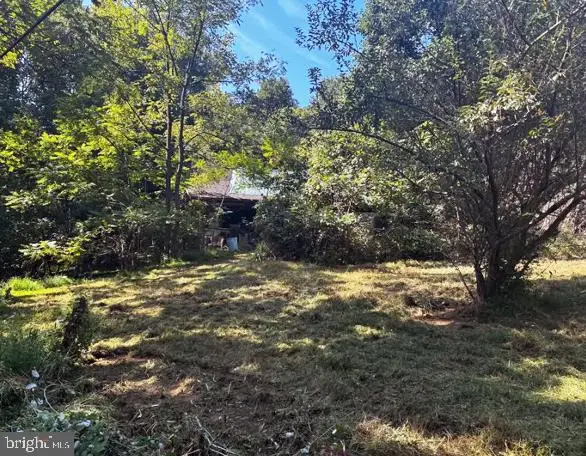 10205 Little Rock Ln, Frederick, MD 21702 - #1