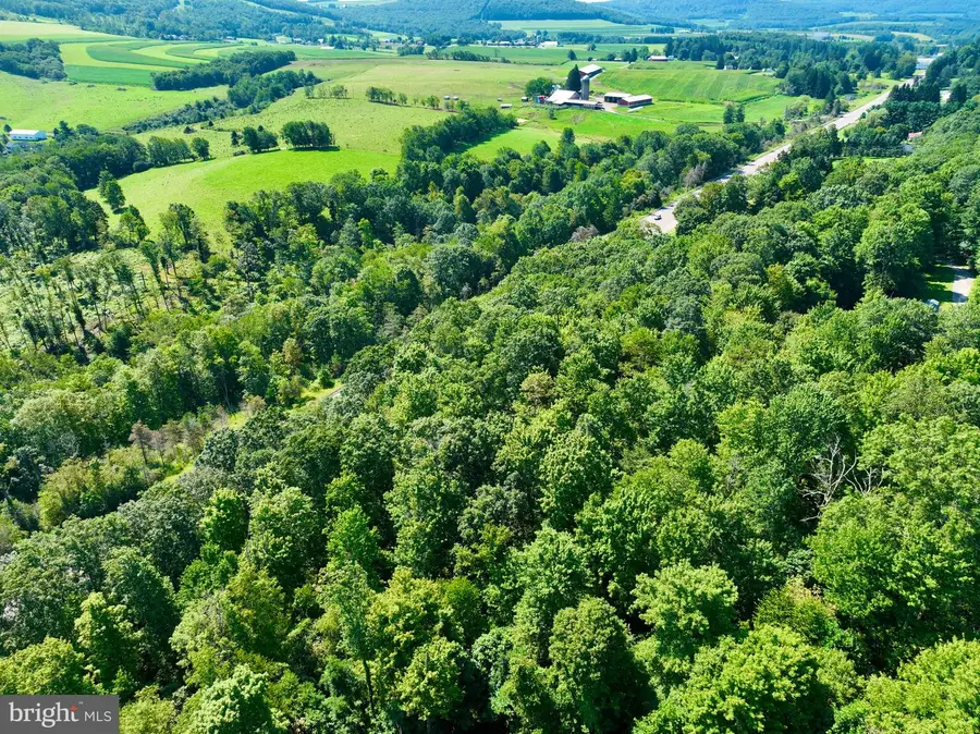 Garrett Hwy, Accident, MD 21520 - Image #2