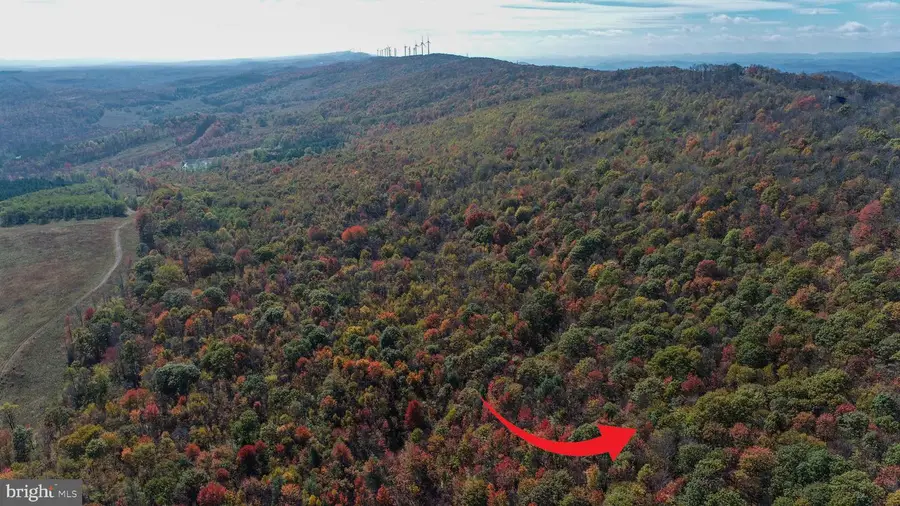 18 Hoye Crest Rd, Oakland, MD 21550 - Image #3