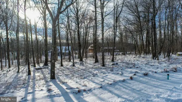 72 Chimney Rock Ln, MC HENRY, MD 21541