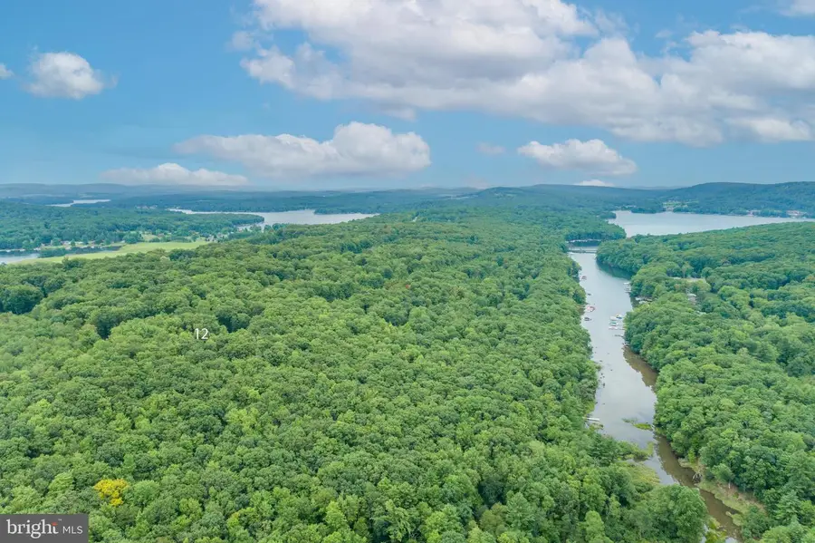 12 Michelle Dr, Swanton, MD 21561 - Image #2