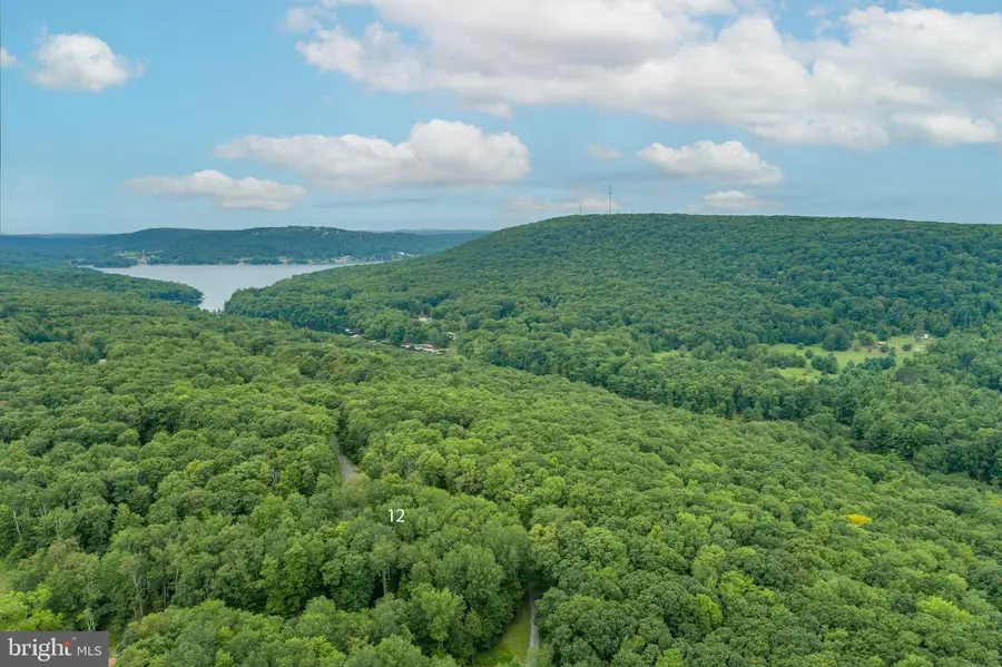 12 Michelle Dr, Swanton, MD 21561 - Image #3