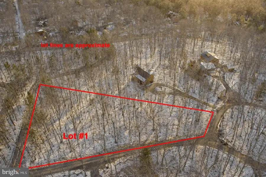 Lot 1 Thomas Cir, Swanton, MD 21561 - Image #2