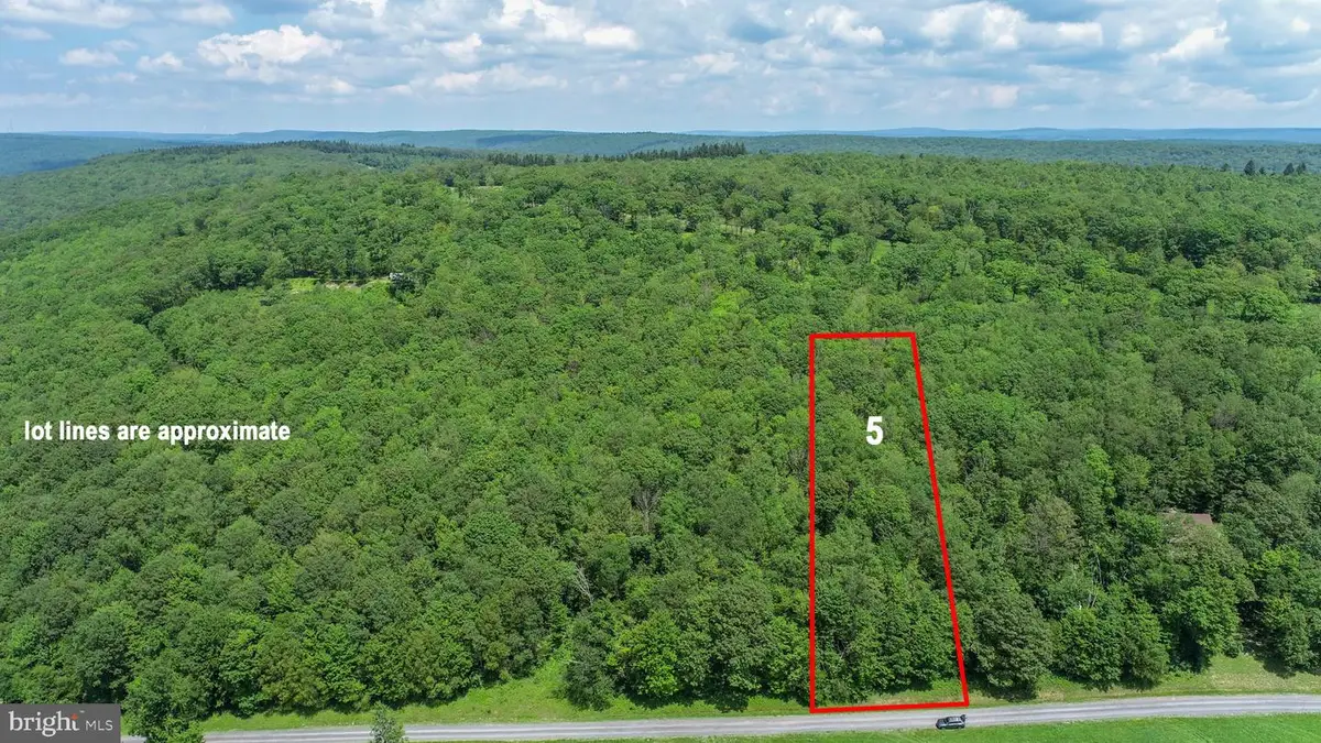 Lot 5 Greenwood Ridge Rd, Accident, MD 21520 - #1