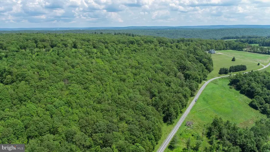 Lot 5 Greenwood Ridge Rd, Accident, MD 21520 - #3