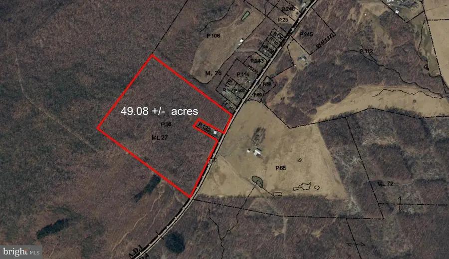 49.08 Acres Maryland Hwy, Swanton, MD 21561 - #2