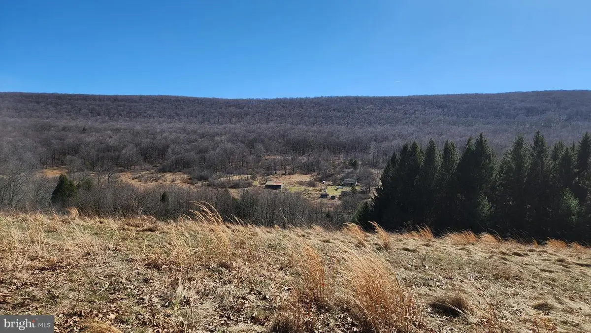 584 Old Wilson Rd, Swanton, MD 21561 - #1