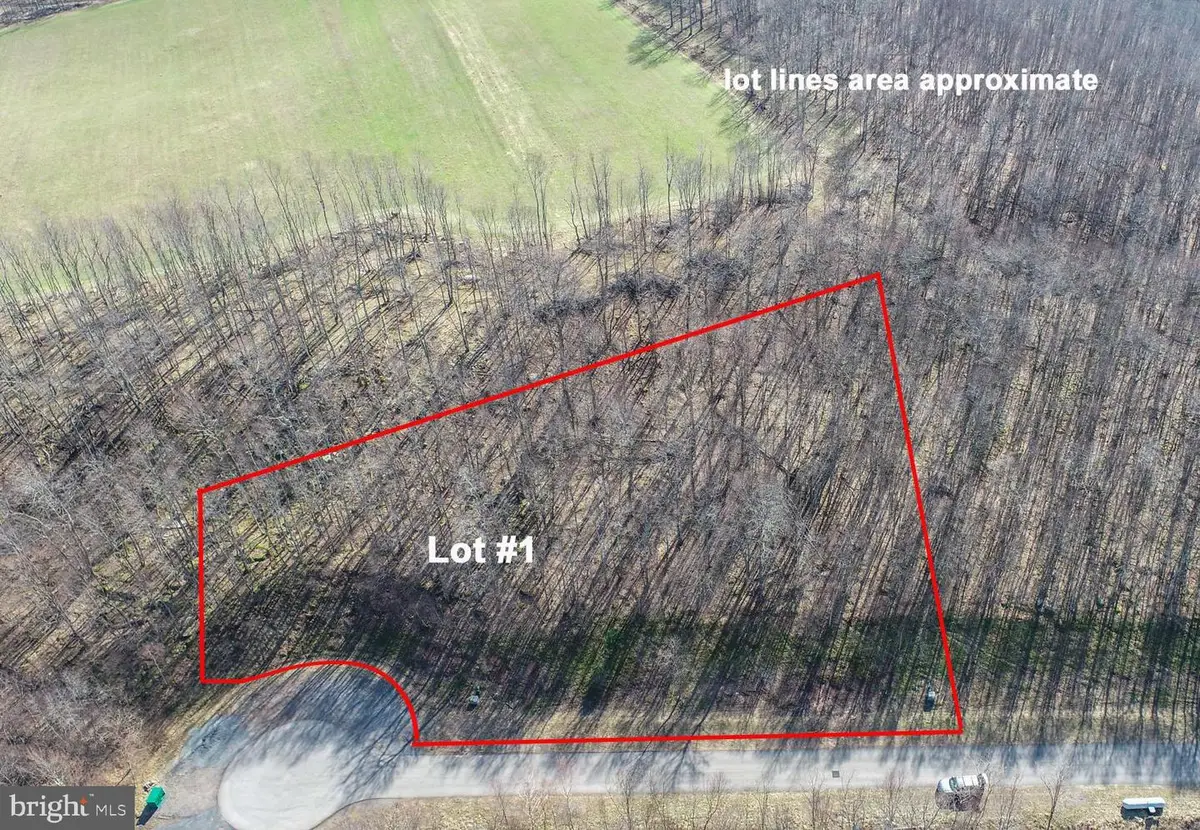 1 Sweet Rewards Farm Rd, McHenry, MD 21541 - #1