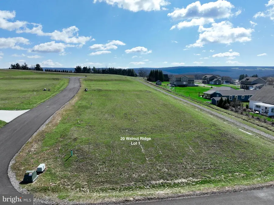 20 Walnut Ridge, Grantsville, MD 21536 - #3