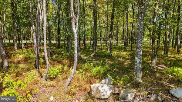 Lot 20 Green Jacket Ct, MC HENRY, MD 21541