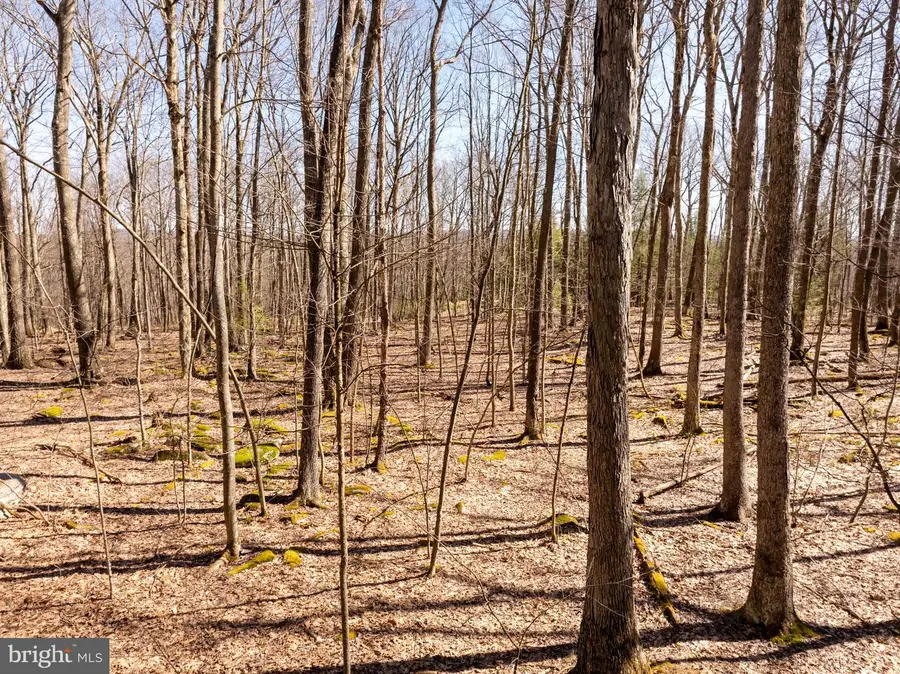 13 Birchwood Dr, Oakland, MD 21550 - #3