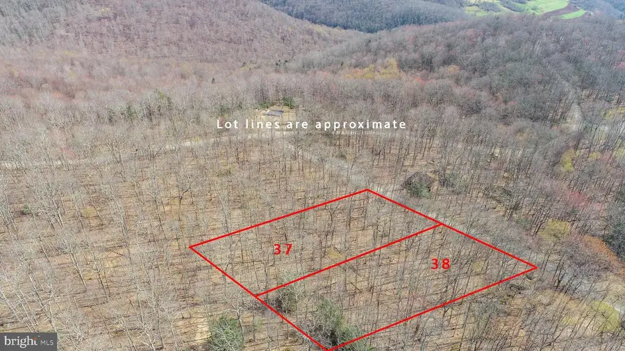 Lots 37 & 38 Fir Tree Dr, Oakland, MD 21550 - #2