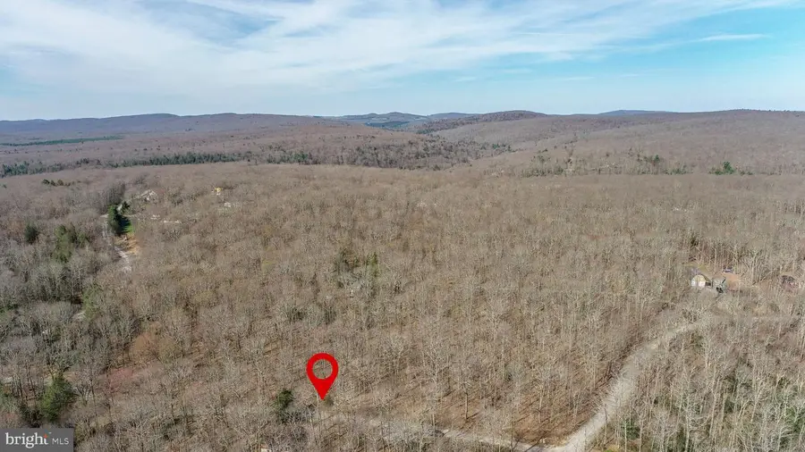 Lots 37 & 38 Fir Tree Dr, Oakland, MD 21550 - #3