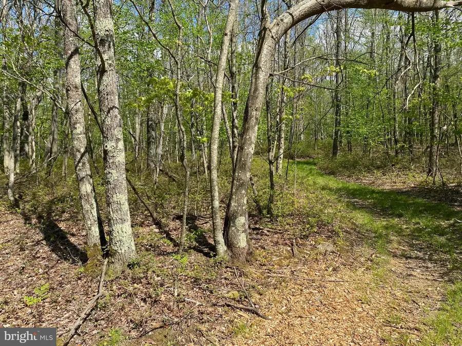 -lot 6b Betts Ln, Oakland, MD 21550 - #3