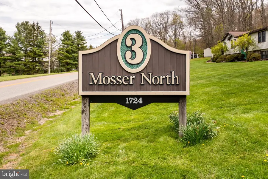 1724 Mosser Rd #8, McHenry, MD 21541 - #2