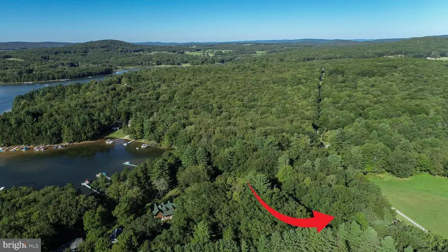 Green Glade Rd, Swanton, MD 21561 - #3