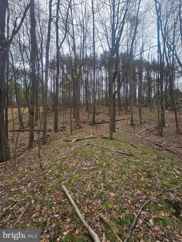 Lot 233 Cumberland, OAKLAND, MD 21550