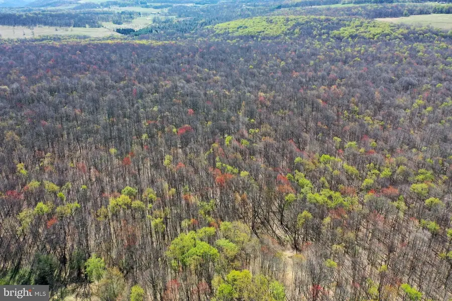 Bethlehem Rd, Oakland, MD 21550 - #2