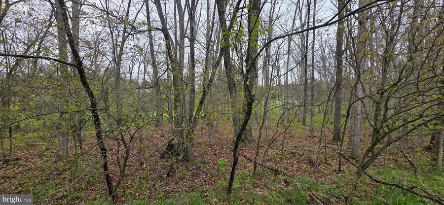 C St, Oakland, MD 21550 - #3