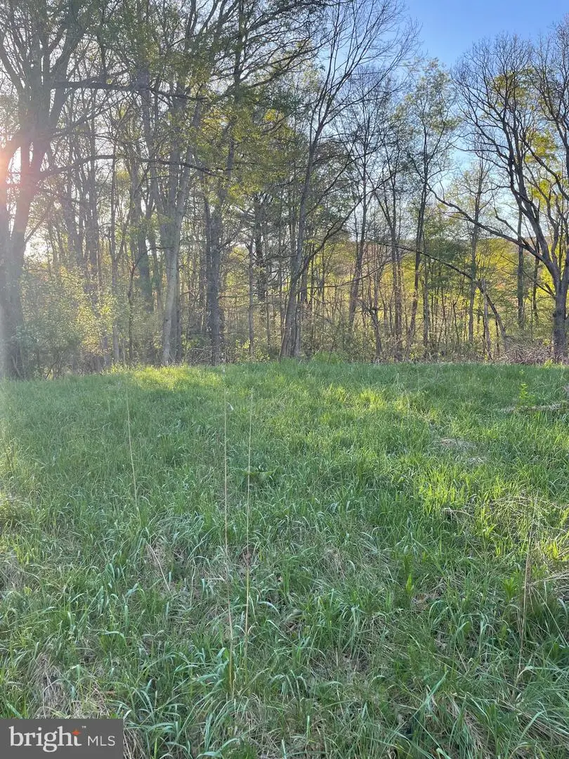 3482 Oakland Sang Run Rd, Oakland, MD 21550 - #1