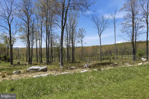 Lot 43 Biltmore Ridge Trl, MC HENRY, MD 21541