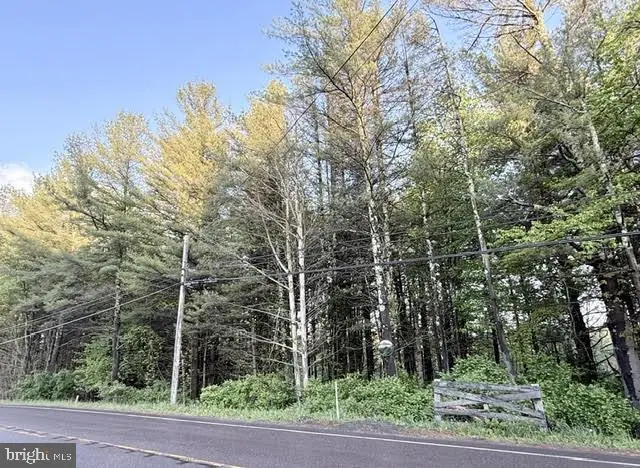 Hutton Road(2 Acres), Oakland, MD 21550 - #2